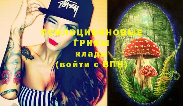 марки lsd Белокуриха