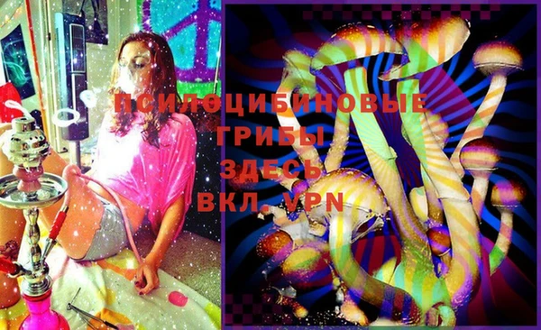 марки lsd Белокуриха