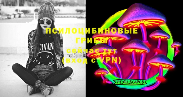 марки lsd Белокуриха